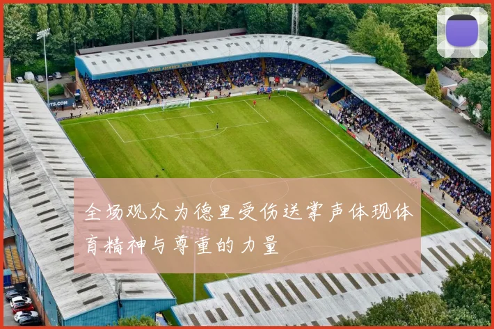 全场观众为德里受伤送掌声体现体育精神与尊重的力量