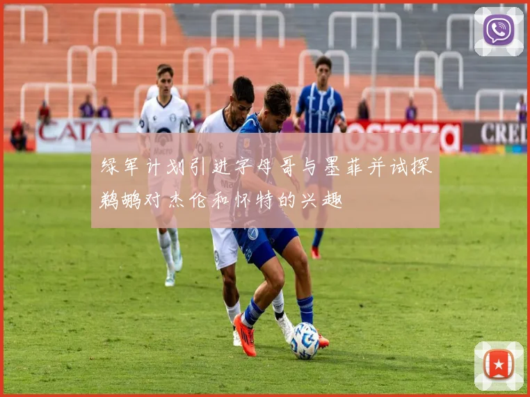 绿军计划引进字母哥与墨菲并试探鹈鹕对杰伦和怀特的兴趣